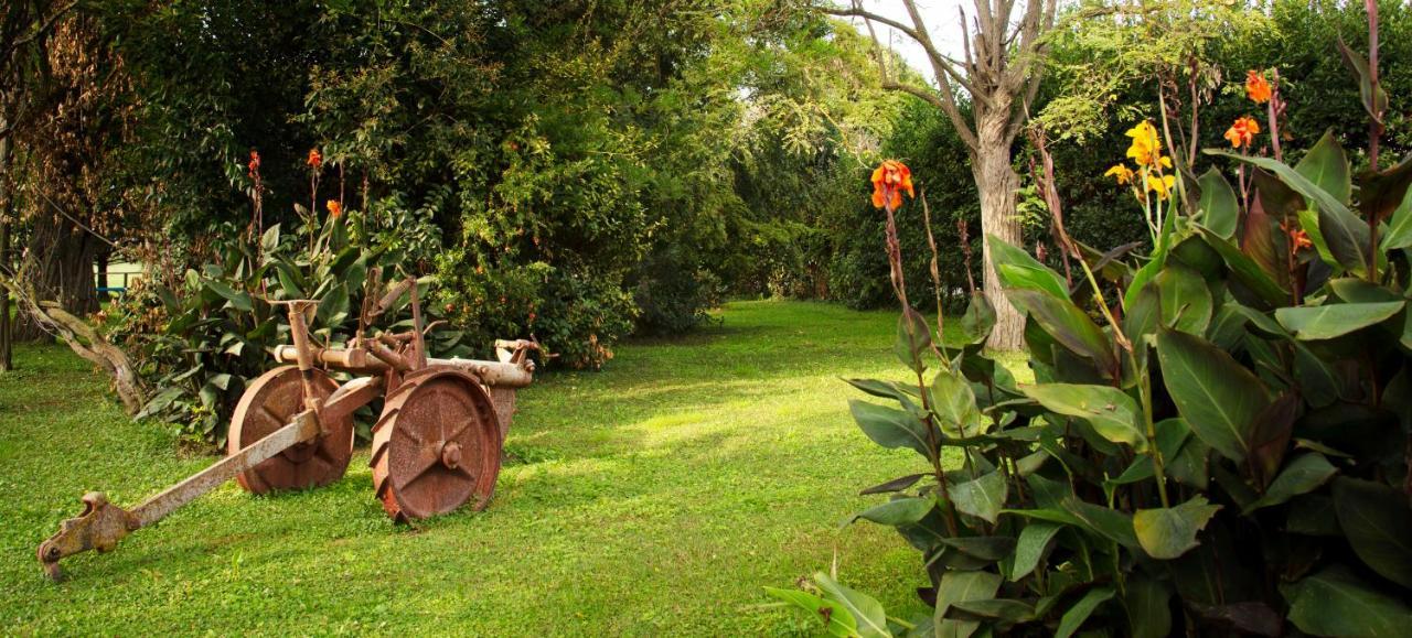 Vakantieboerderij Fattoria Il Duchesco Alberese