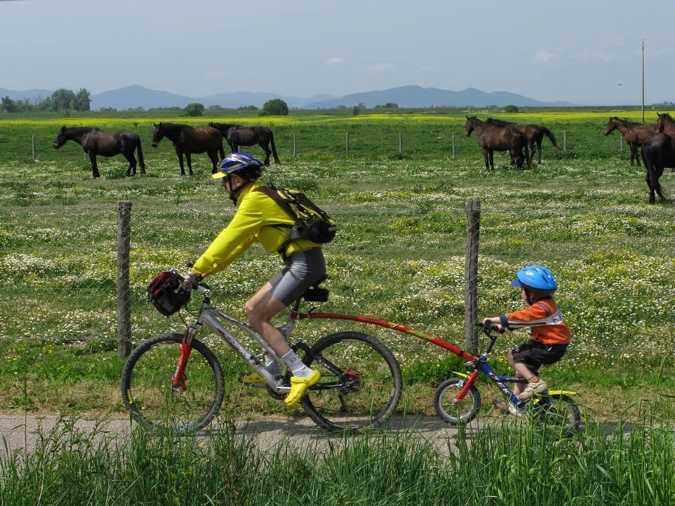 Vakantieboerderij Fattoria Il Duchesco