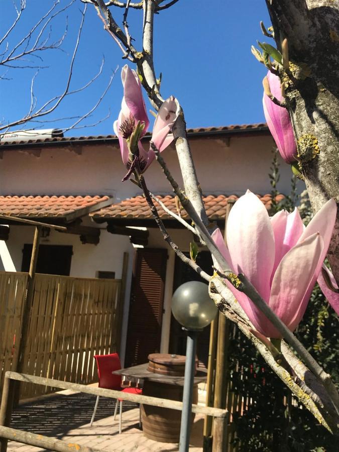 Vakantieboerderij Fattoria Il Duchesco Alberese